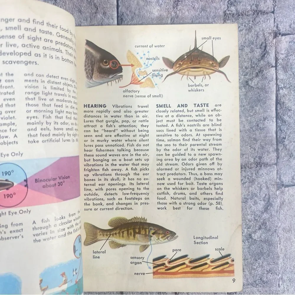Vintage Fishing Manuals Bundle of Two Paperback Reference Manuals Salt Water